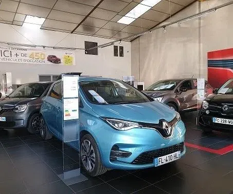 Renault dacia cigognes (1)