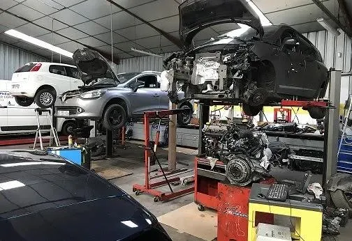 Renault dacia cigognes (2)