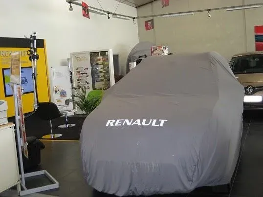 Renault dacia cigognes (5)