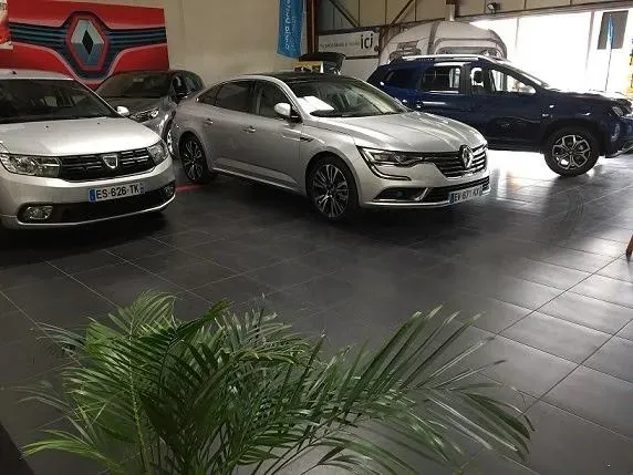 Renault dacia cigognes (6)