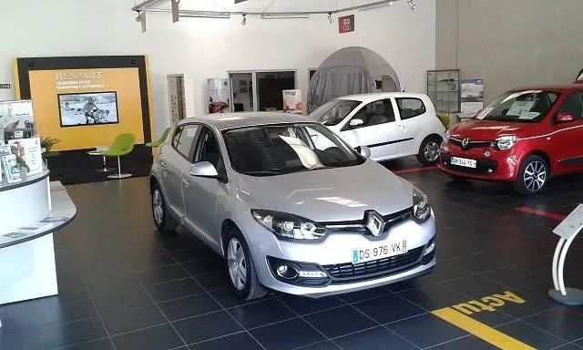 Renault dacia cigognes (7)