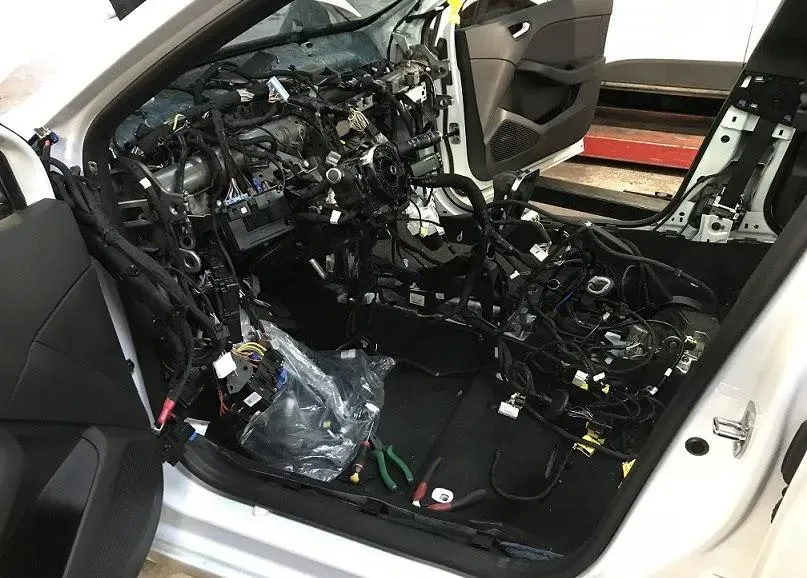 Renault dacia cigognes (8)